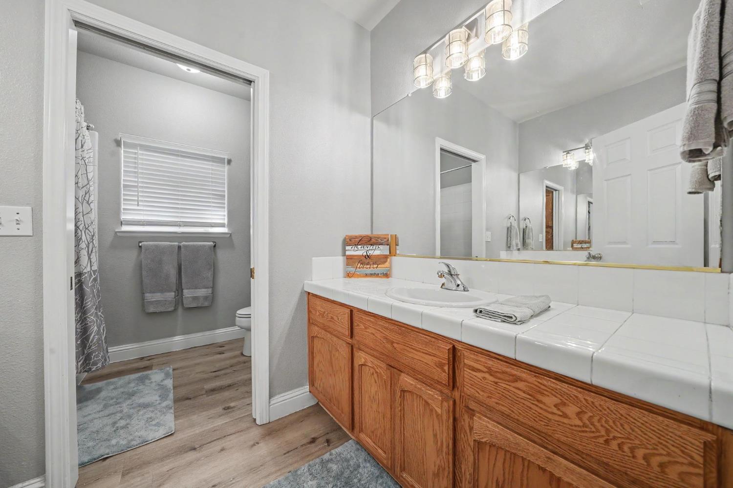 151 St Andrews Road Valley Springs, CA 95252 - Photo 50 of 62