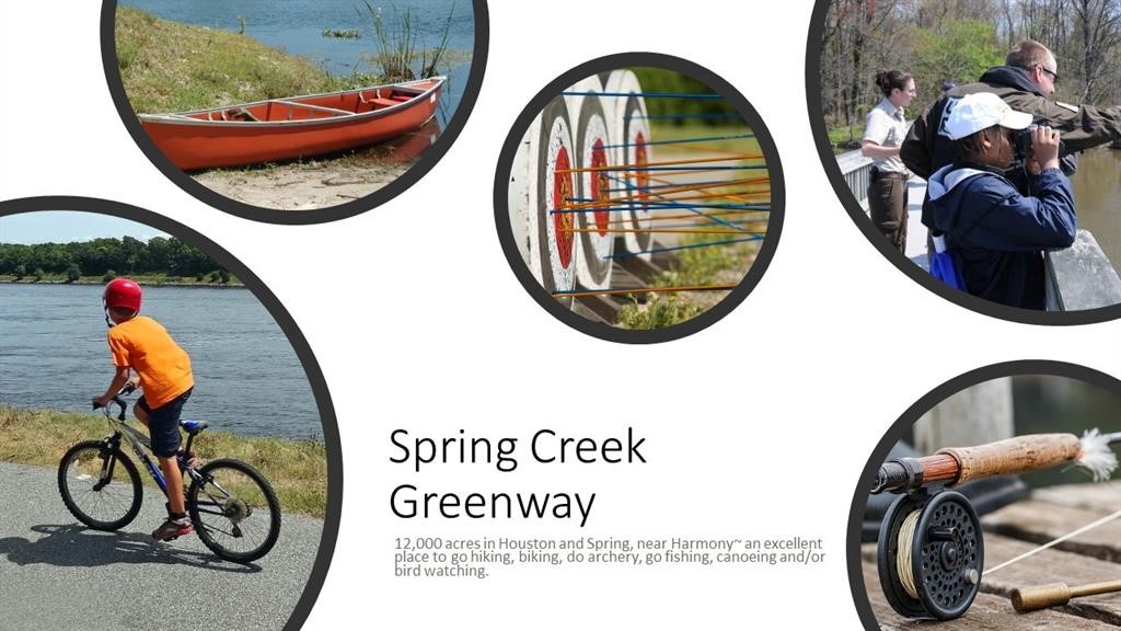 4420 Mimic Drive Spring, TX 77386 - Photo 40 of 40 a front view of a house with furniture and a garden