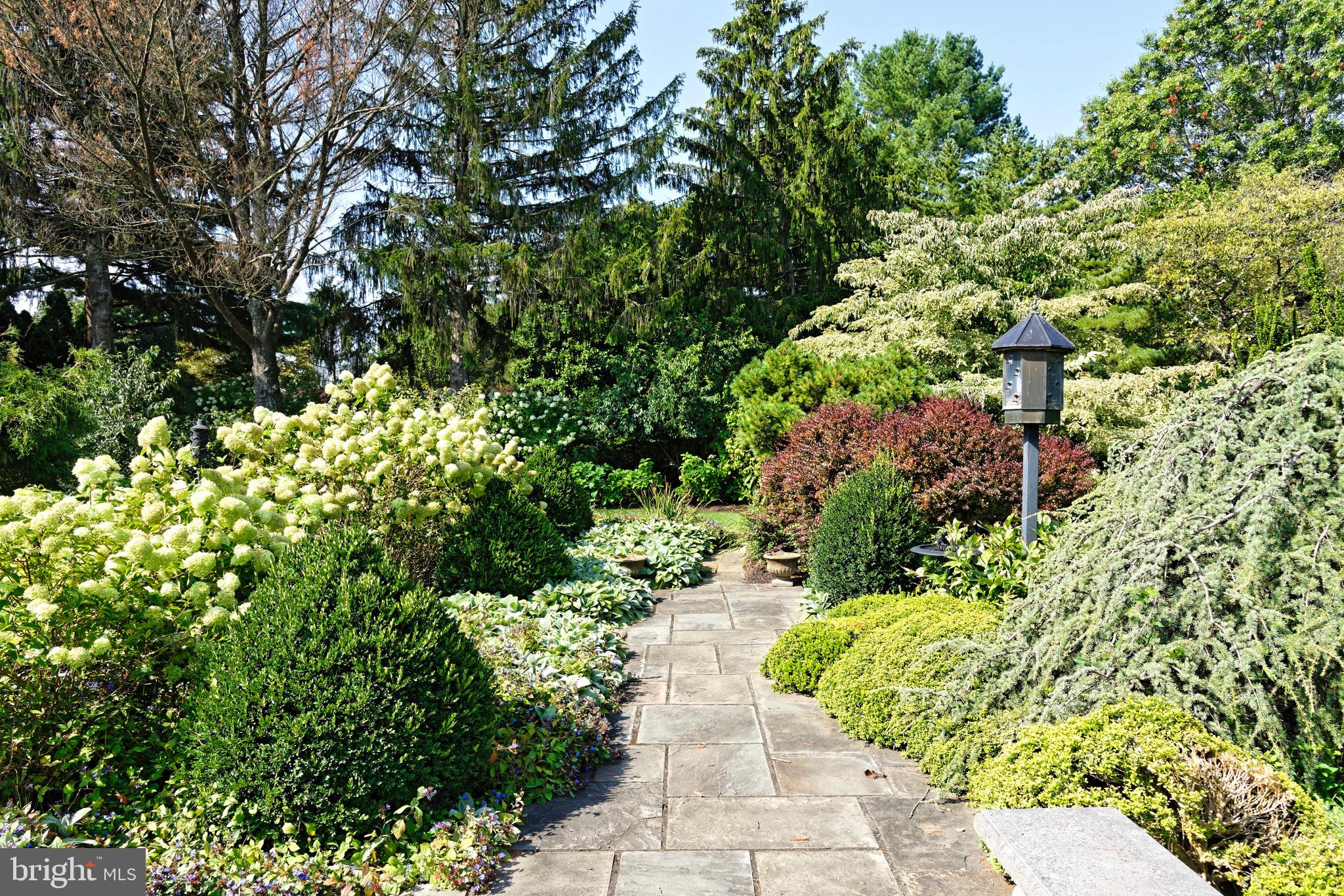 574 Clay Hill Road Boyce, VA 22620 - Photo 34 of 44 a view of a garden with plants
