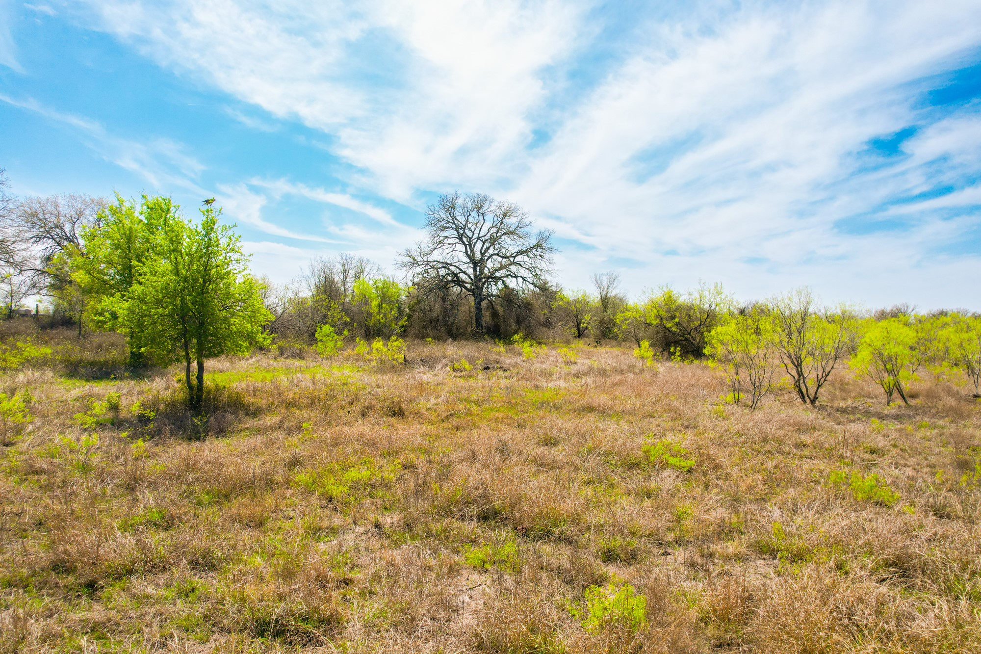 6641 Taylorsville Road Dale, TX 78616 - Photo 13 of 24 a view of a yard with an trees
