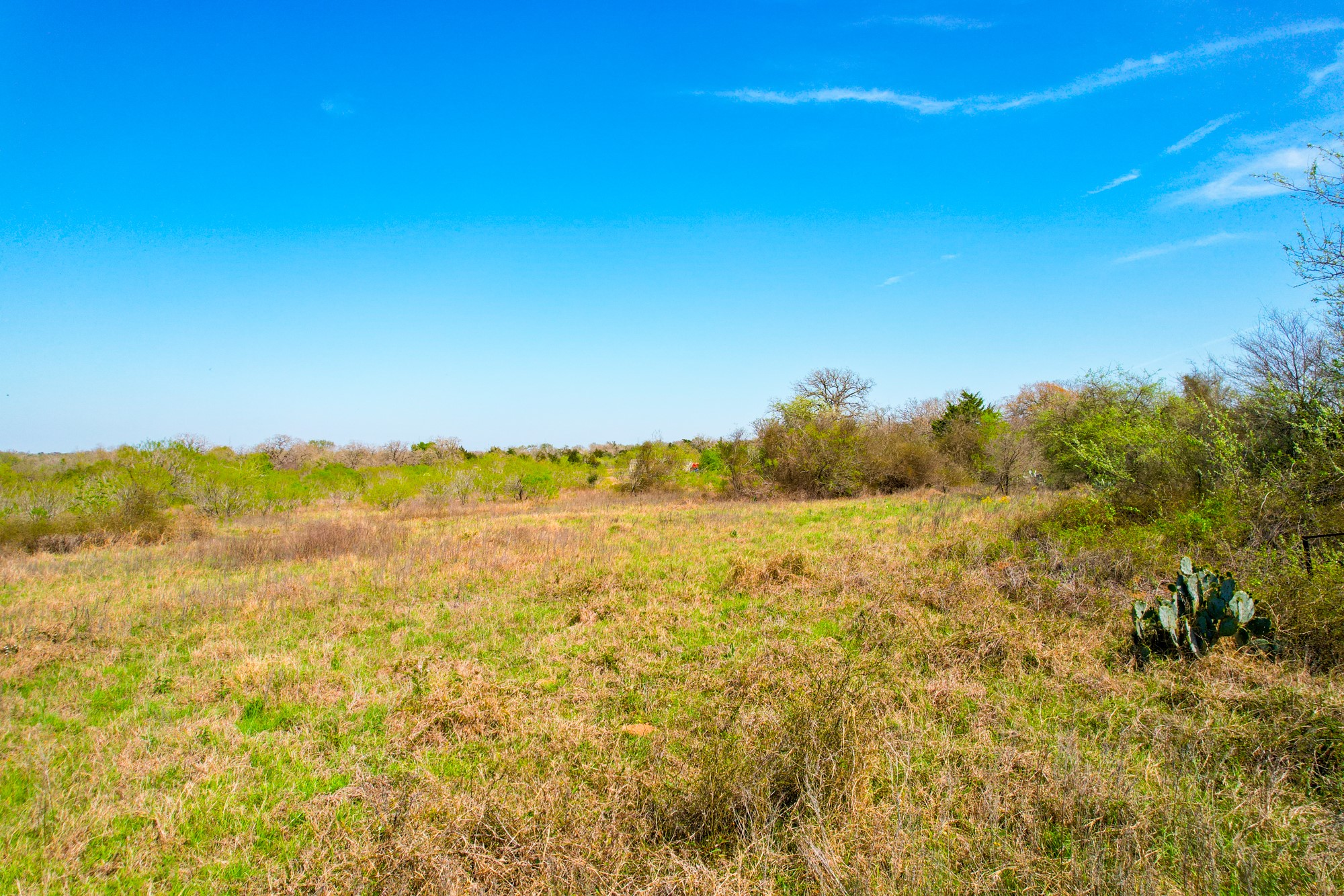 6641 Taylorsville Road Dale, TX 78616 - Photo 15 of 24 a view of an ocean