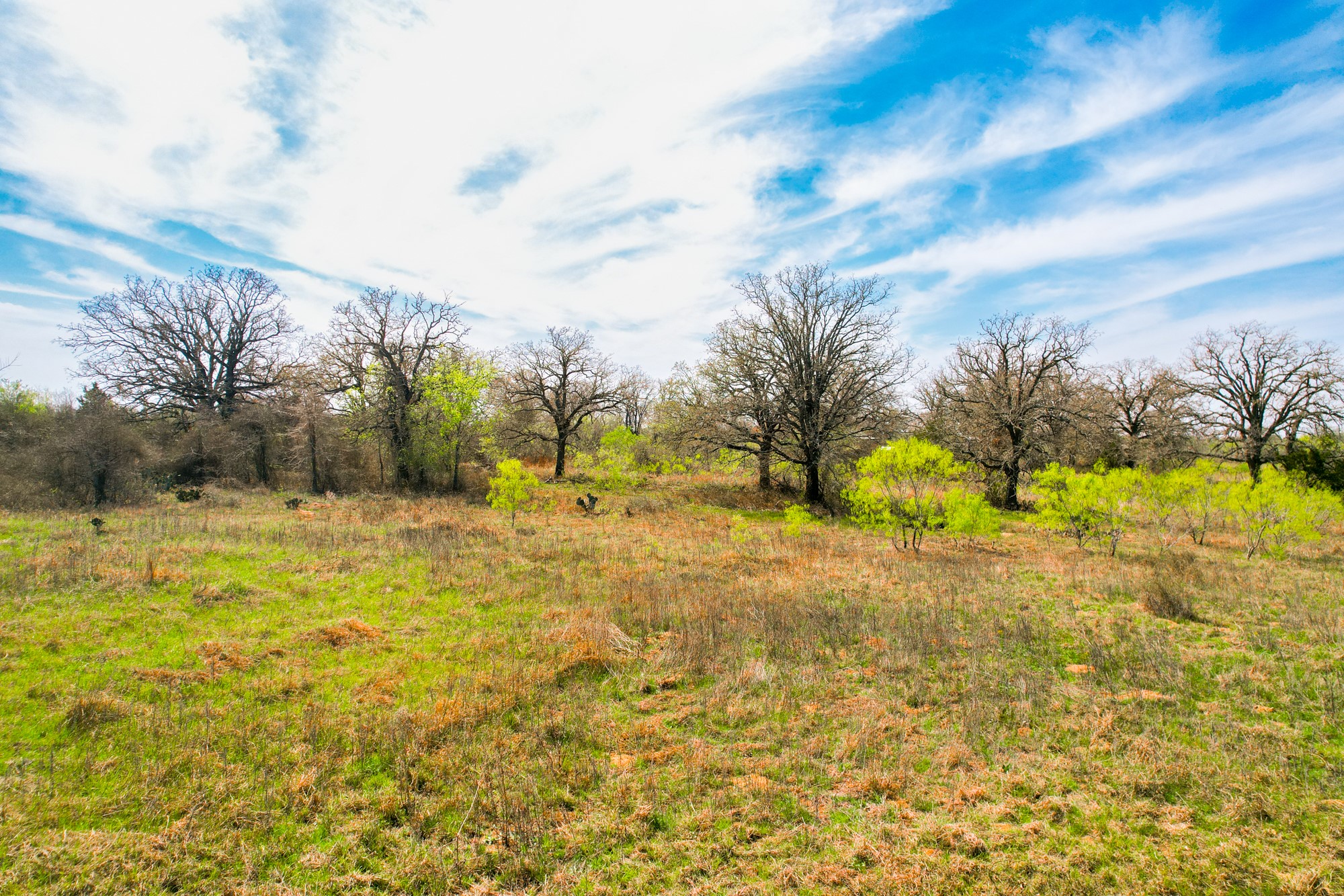 6641 Taylorsville Road Dale, TX 78616 - Photo 20 of 24 a view of yard with swimming pool