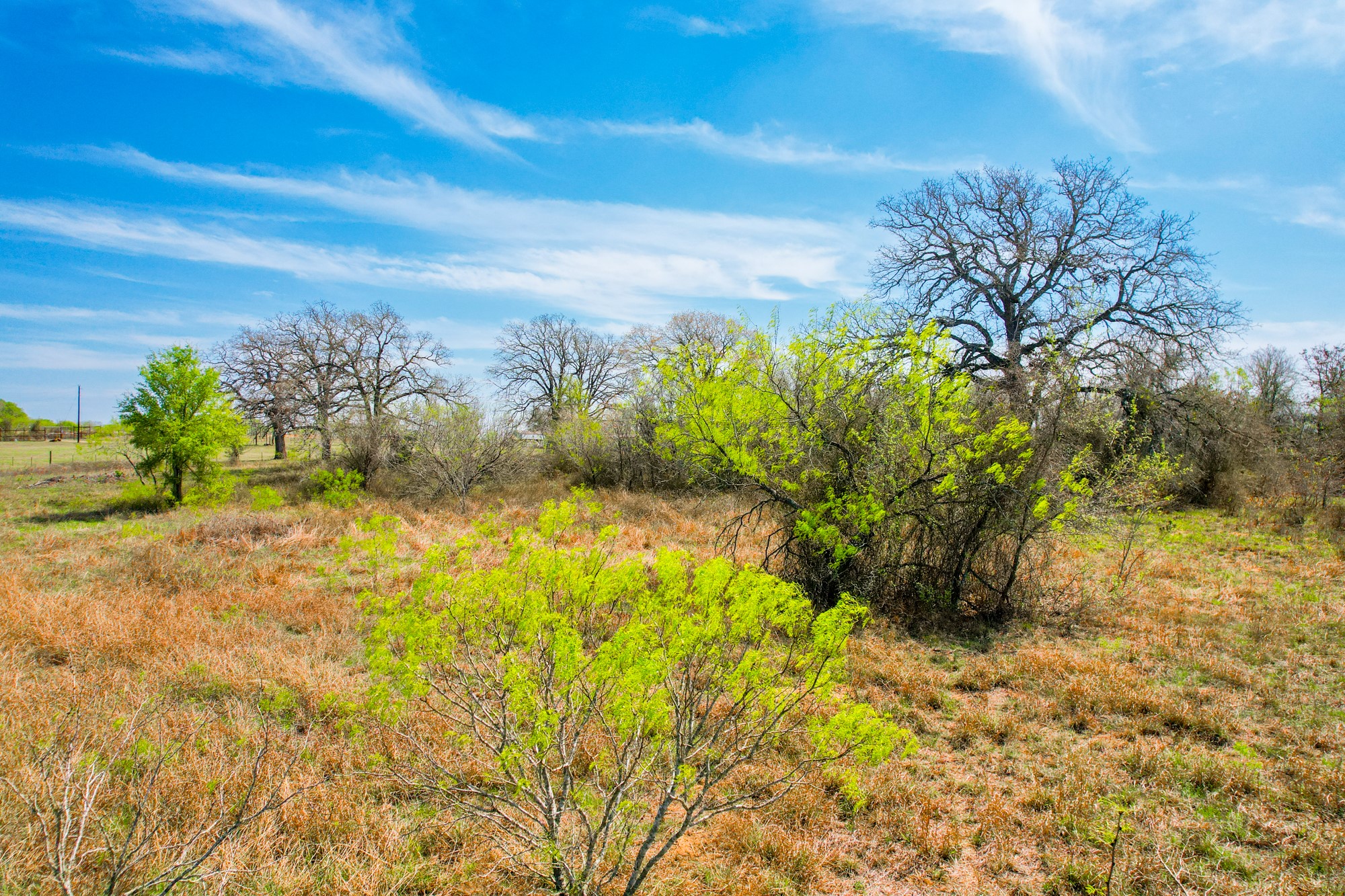 6641 Taylorsville Road Dale, TX 78616 - Photo 6 of 24 a view of a garden with plants and large trees