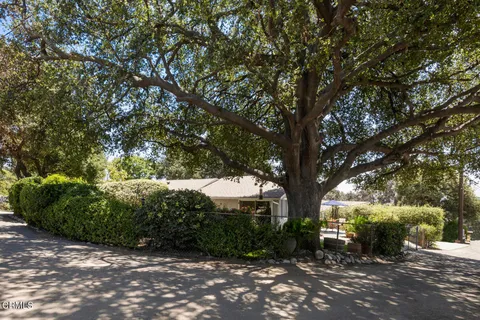 a view of outdoor space and yard