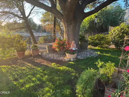 a view of a garden with a bench in the garden