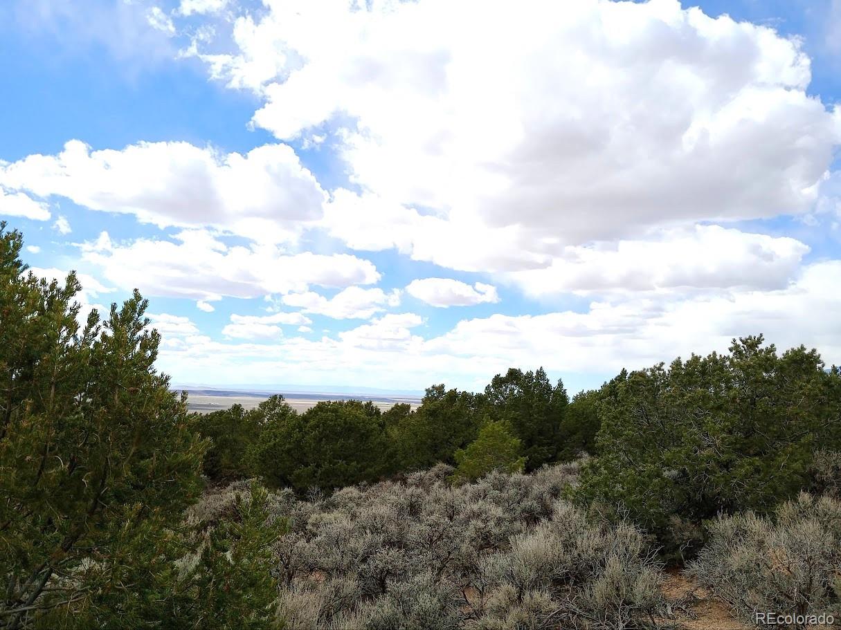 Lot 1258 Michaels Road Fort Garland, CO 81133 - Photo 2 of 14 Gallery Image 2