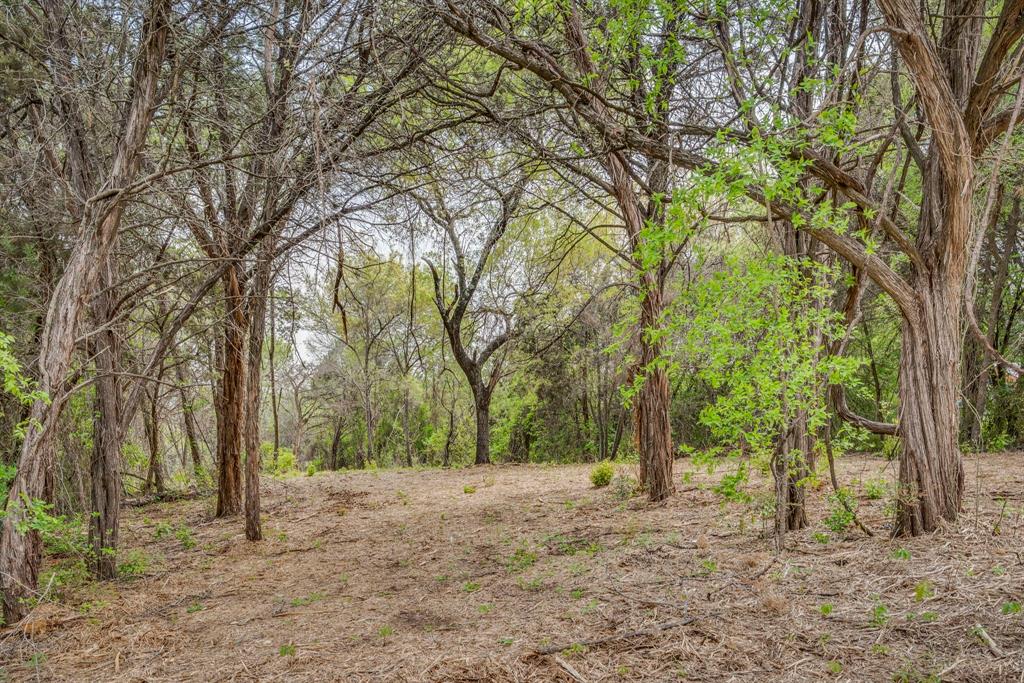 4923 Shining Star Trail Rio Vista, TX 76093 - Photo 3 of 15 View of landscape featuring a view of trees
