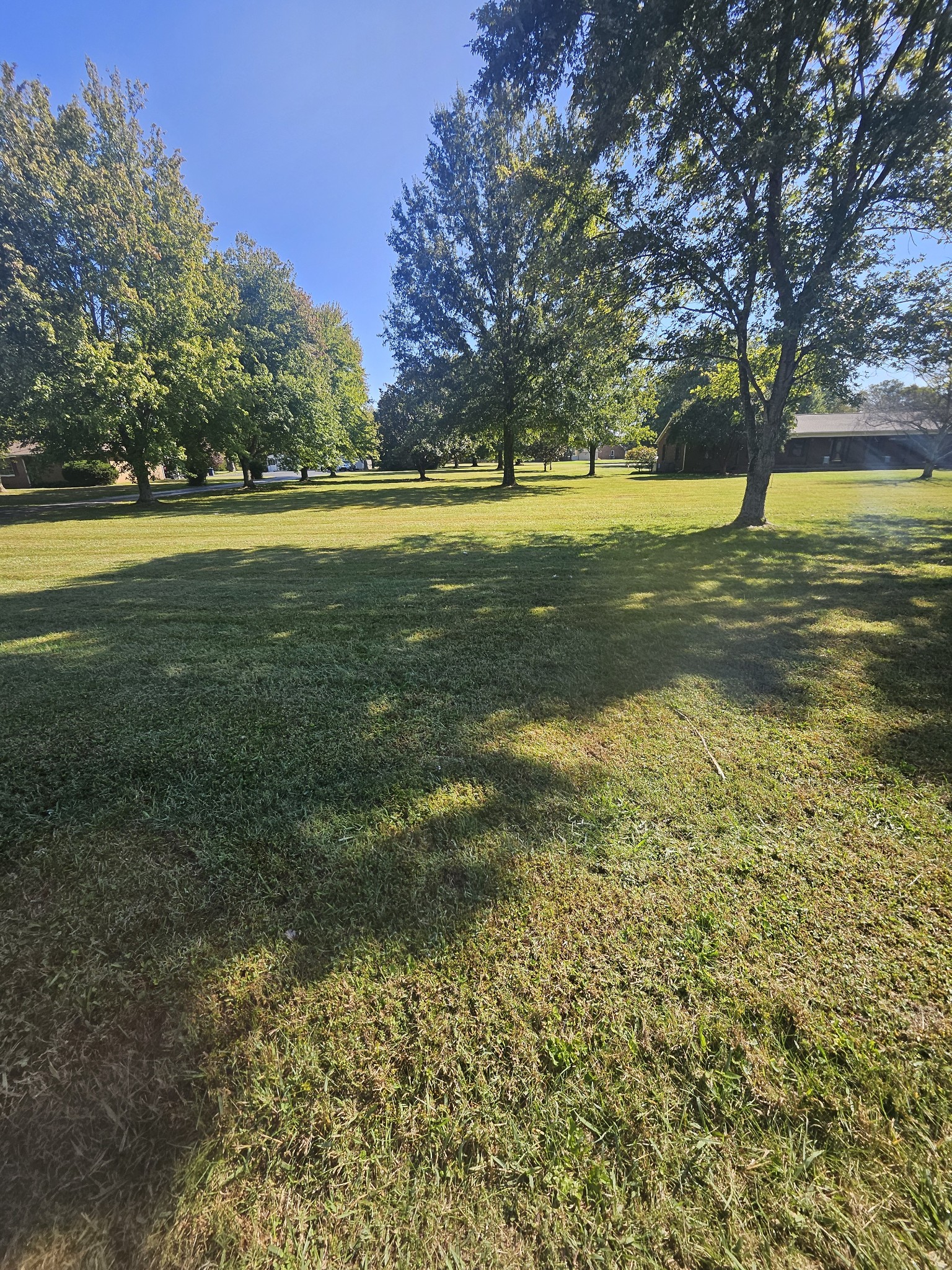 400 Brinkley Road Murfreesboro, TN 37128 - Photo 4 of 11 a view of a field with trees in the background