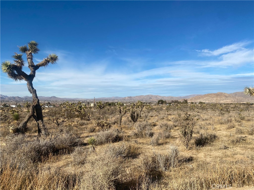1 Tussing Ranch Road Apple Valley, CA 92308 - Photo 2 of 18 a view of a yard