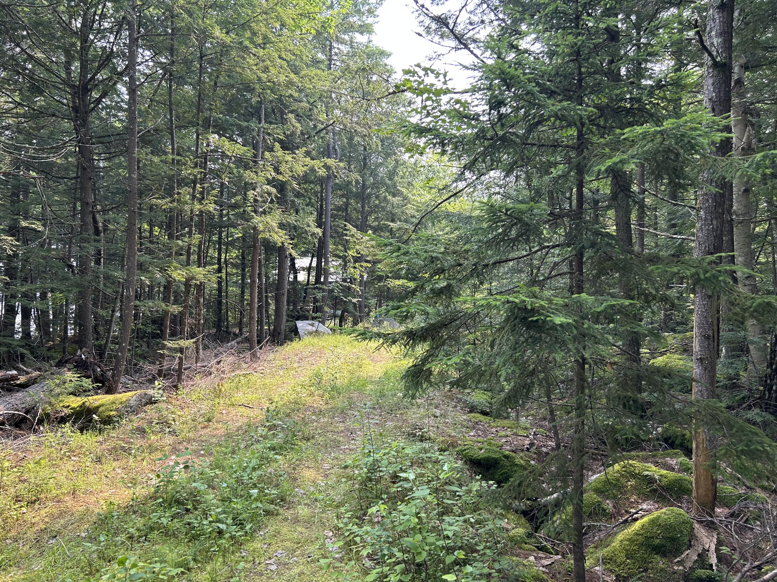 Lot 12-4 McNulty Lane Rome, ME 04963 - Photo 1 of 5 IMG-7670