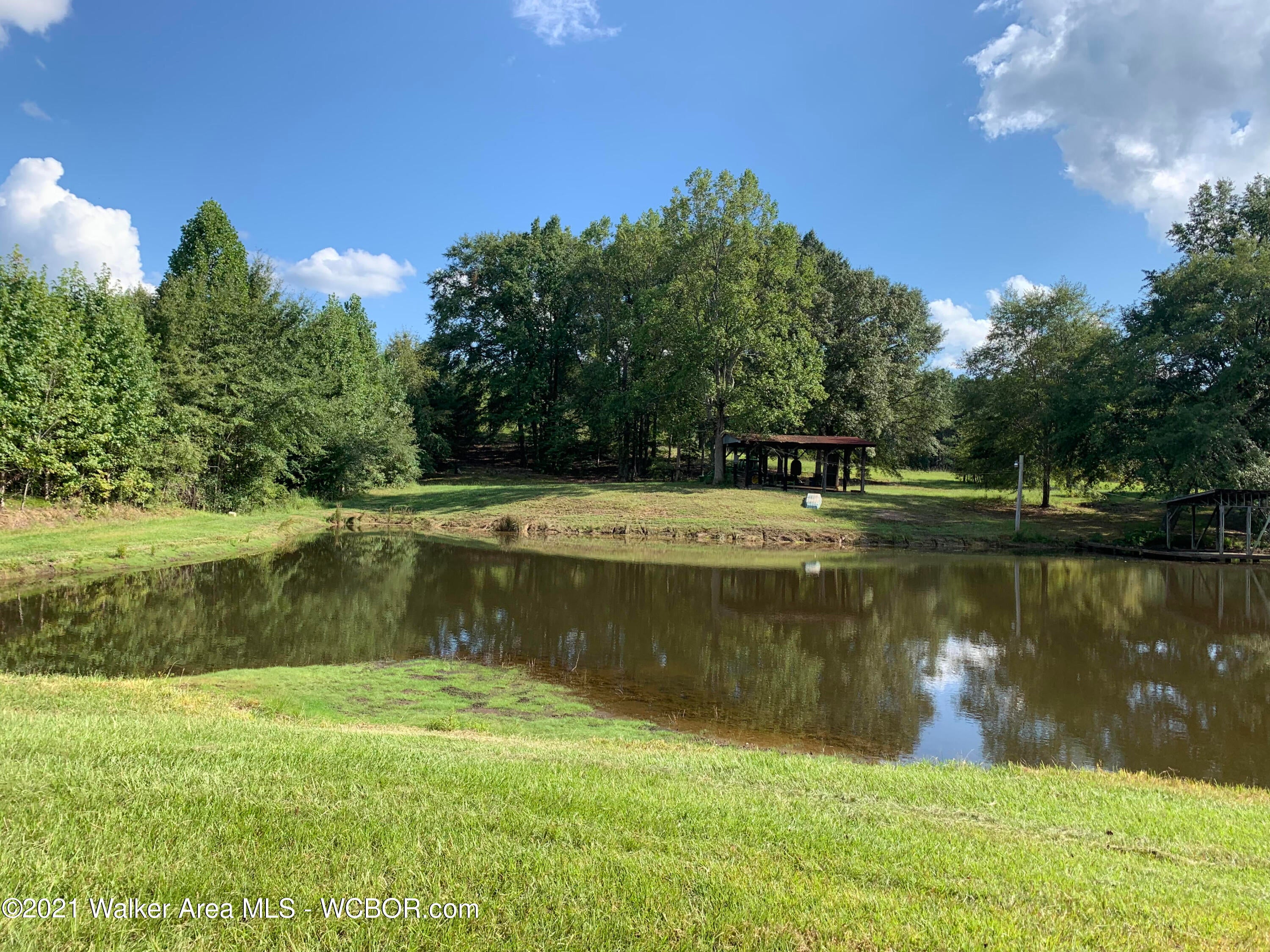 Wright Road Nauvoo, AL 35578 - Photo 1 of 4 Gallery Image 1