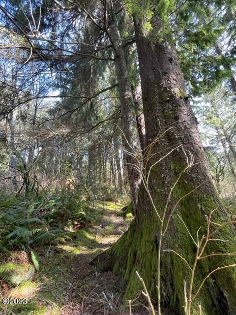 501 Brooten Hill Road Pacific City, OR 97135 - Photo 7 of 18 Sitka Spruce