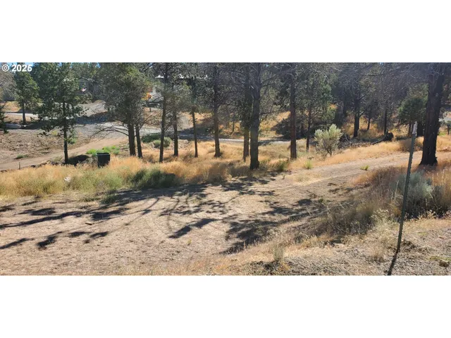 a view of a backyard of a house