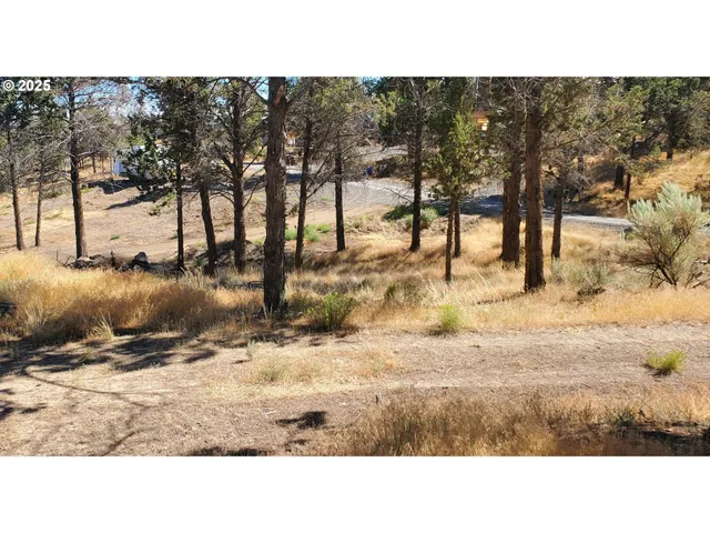 a black and white photo of a house