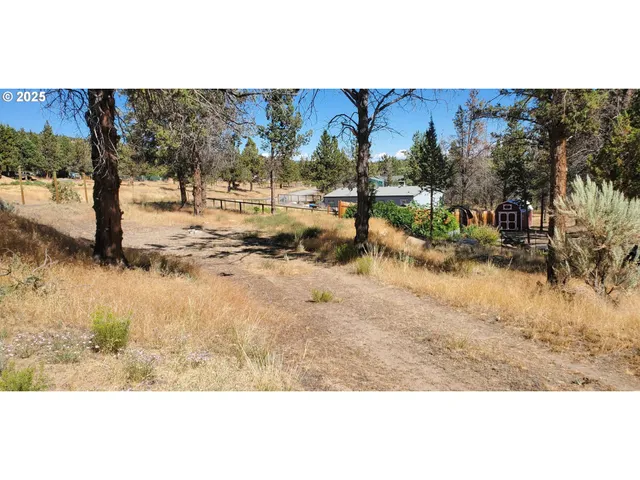 a view of outdoor space with trees all around