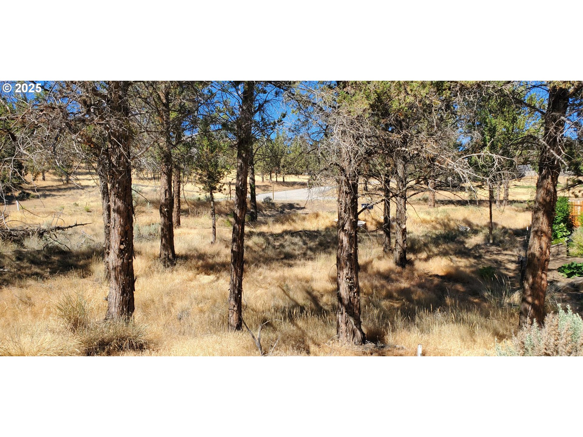 Northwest Circle Street, Unit TL1700 Prineville, OR 97754 - Photo 7 of 11 a view of a yard