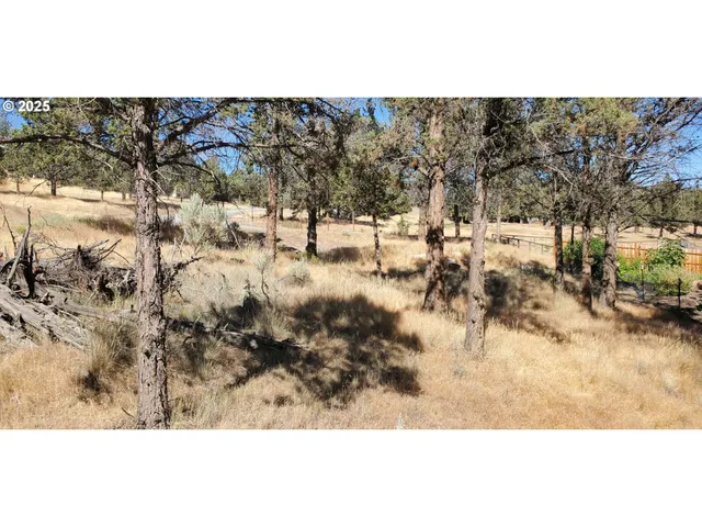 a view of covered with snow