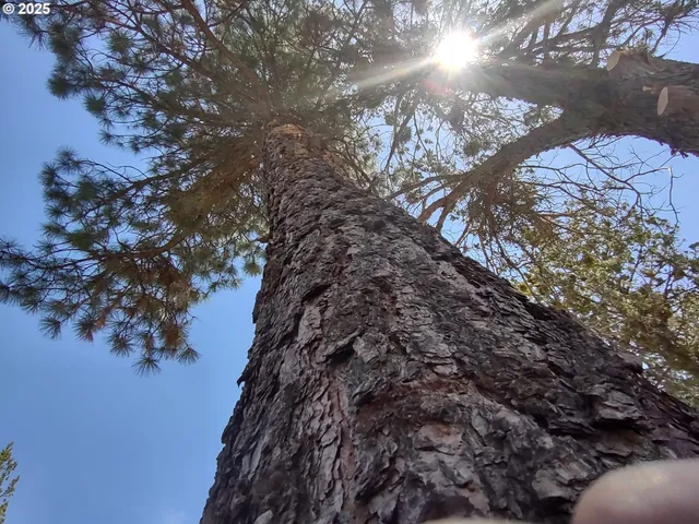 a backyard of a house