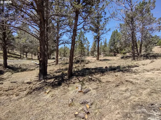 a view of a yard covered with snow