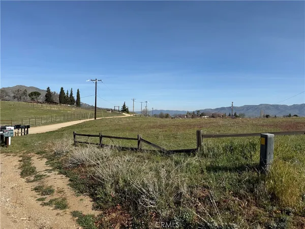 a view of a lake from a yard