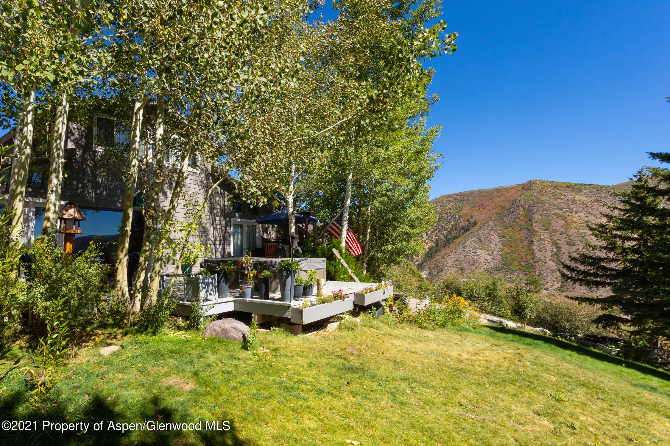 322 Light Hill Road Snowmass, CO 81654 - Photo 24 of 36 Special Yard