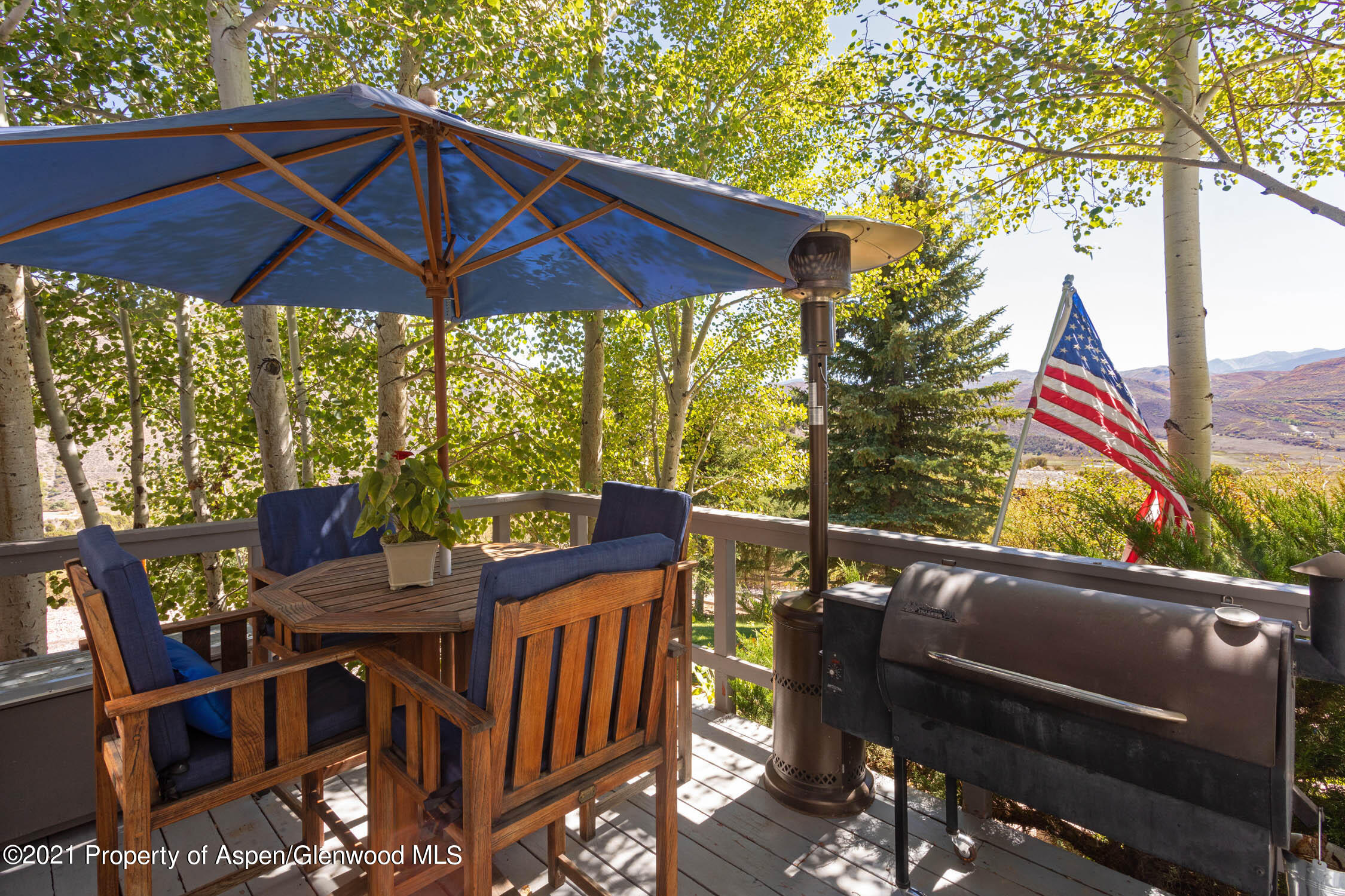 322 Light Hill Road Snowmass, CO 81654 - Photo 4 of 36 Overlooking the Valley