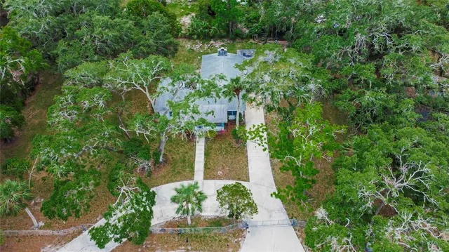 a view of a yard with plants and large trees