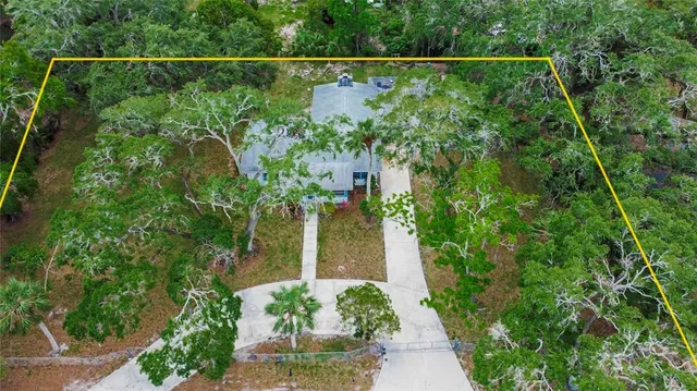 a view of a yard with plants
