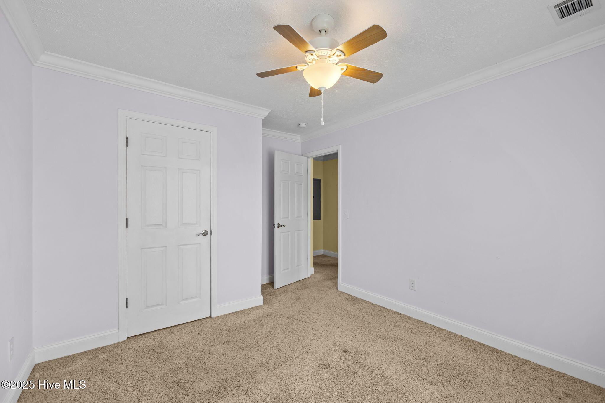 205 Ronnie Road Beaufort, NC 28516 - Photo 27 of 44 5-web-or-mls-1S3A6634
