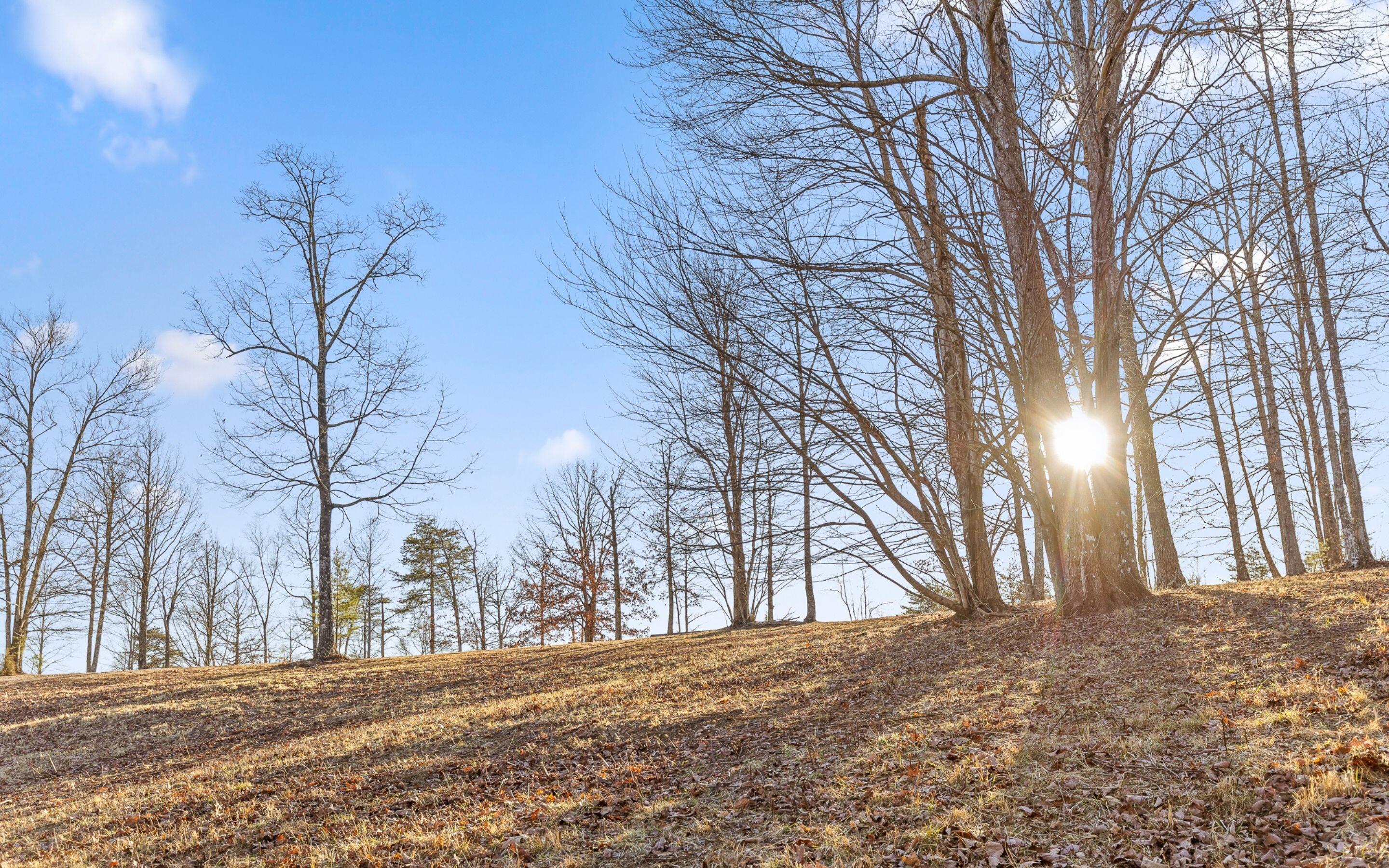Lot Lg1 Lake George Drive Dunlap, TN 37327 - Photo 2 of 15 Rolling Terrain