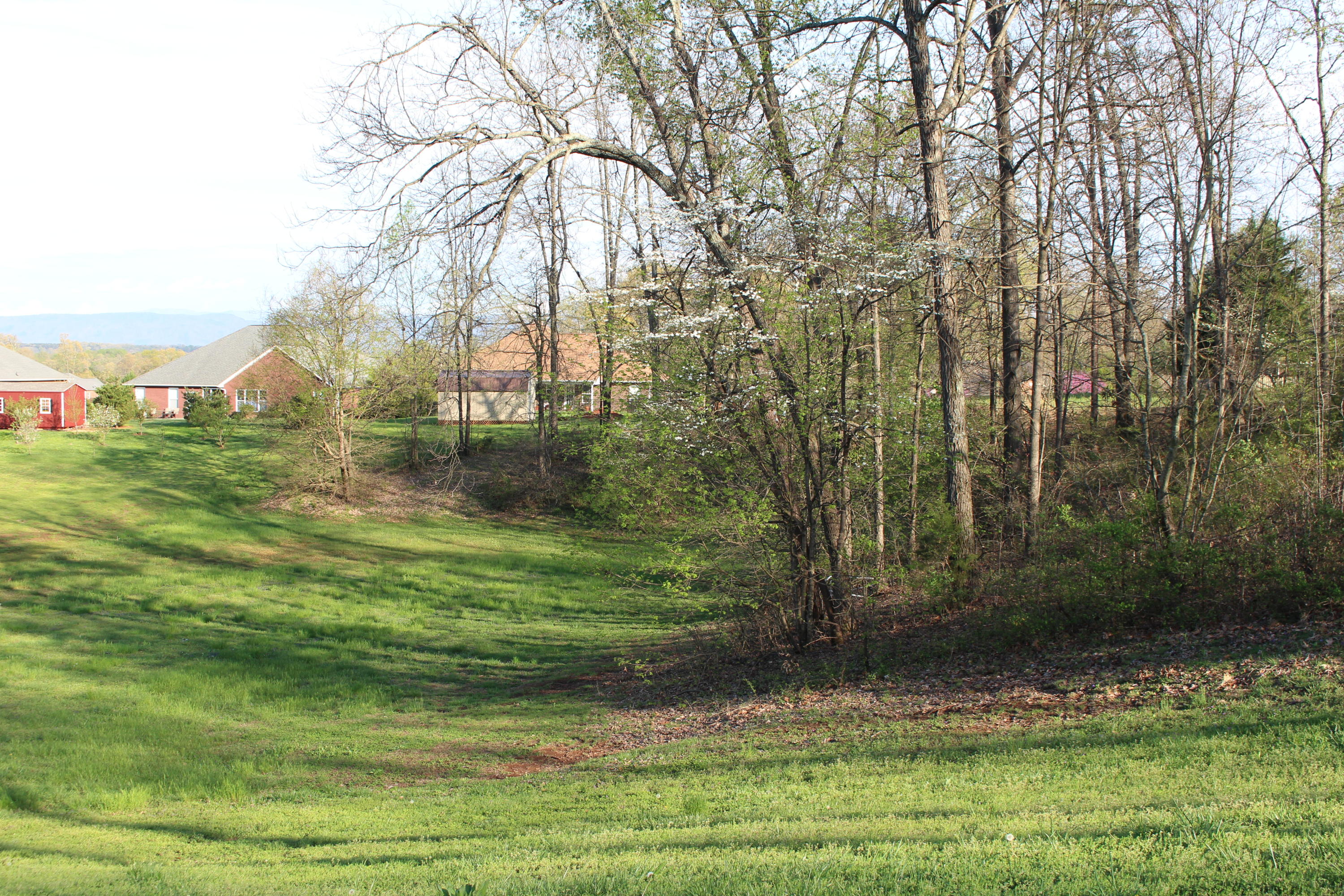 1140 Houston Springs Road Greenback, TN 37742 - Photo 2 of 6 IMG_1356