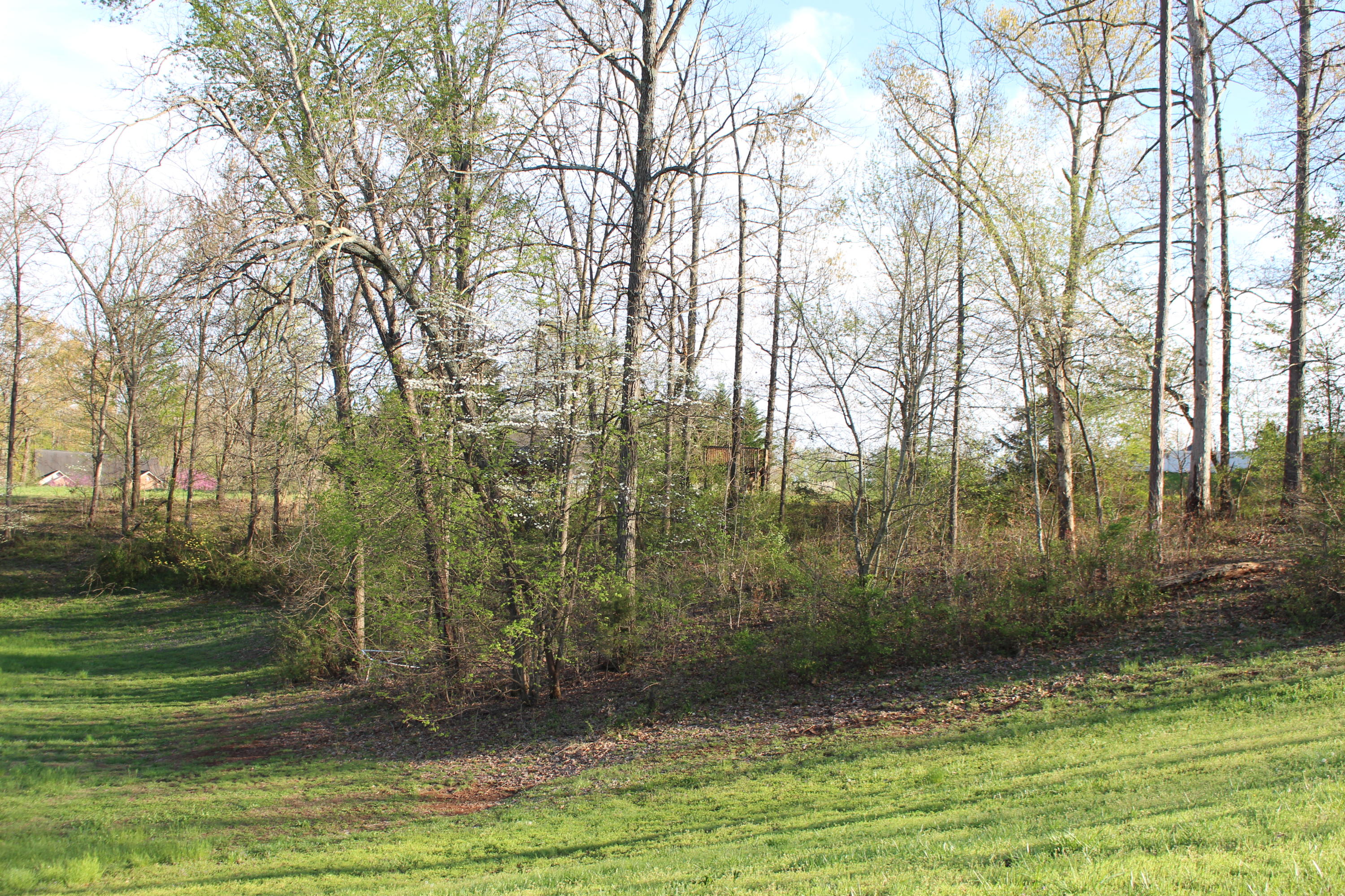 1140 Houston Springs Road Greenback, TN 37742 - Photo 4 of 6 IMG_1358