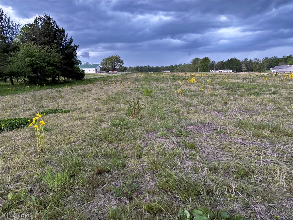 V/l Alger Road Richfield, OH 44286 - Photo 6 of 10 Gallery Image 6
