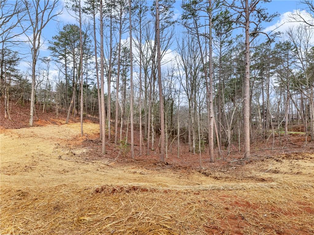 7668 Pea Ridge Road Lula, GA 30554 - Photo 36 of 40