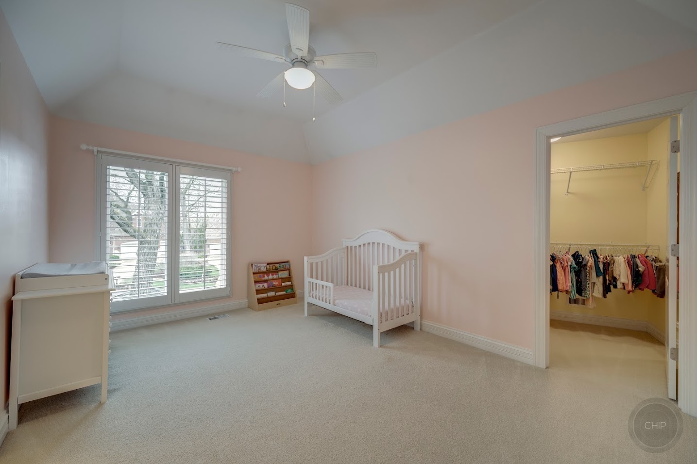 208 Crooked Tree Court Naperville, IL 60565 - Photo 48 of 97