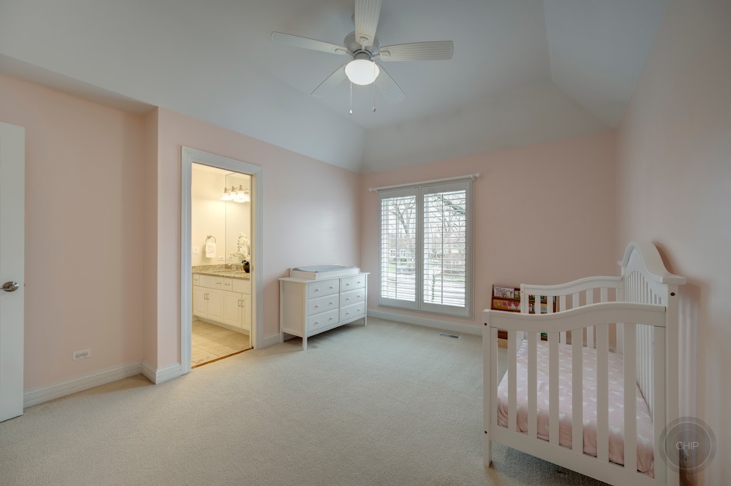 208 Crooked Tree Court Naperville, IL 60565 - Photo 49 of 97