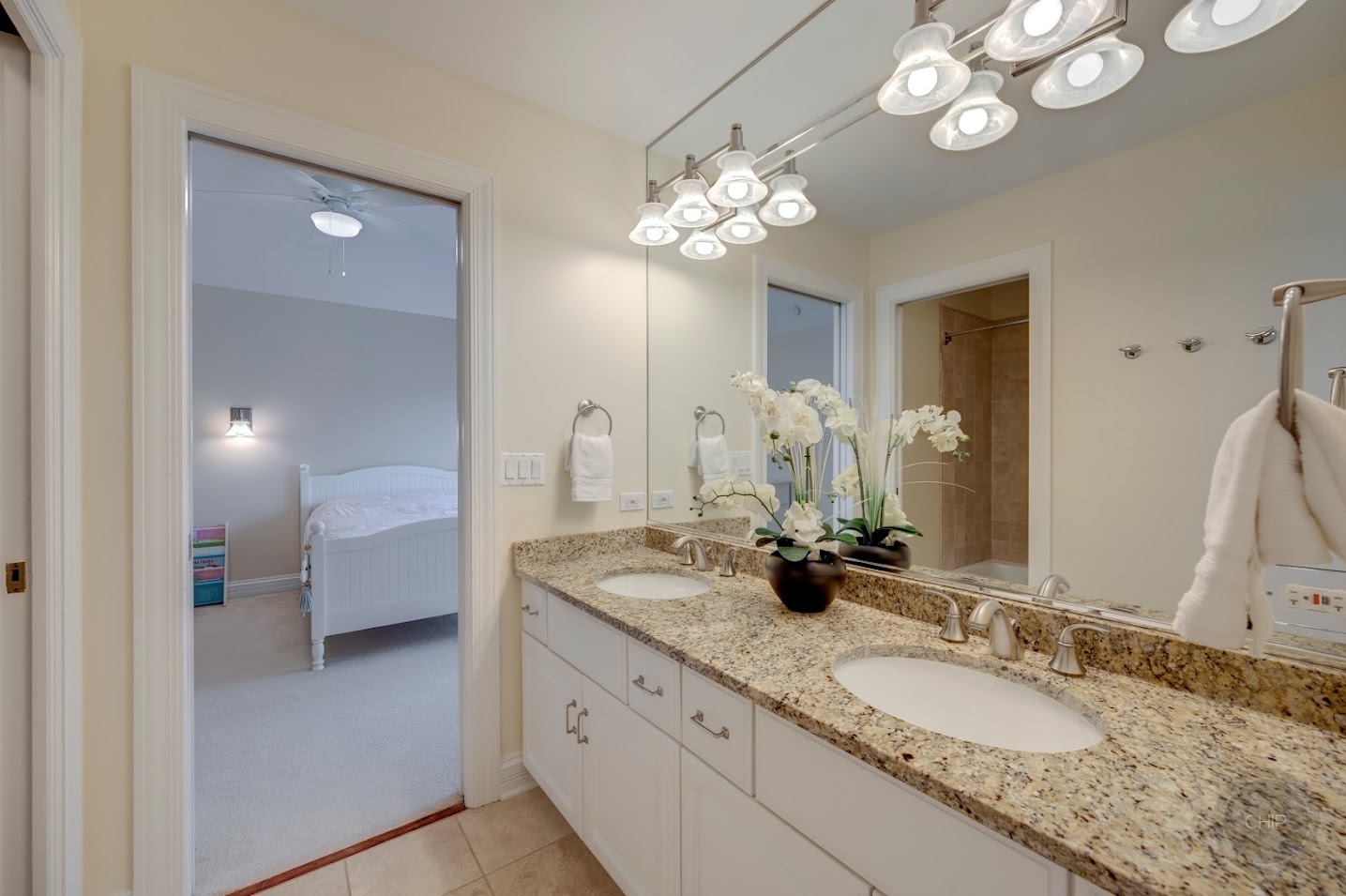 208 Crooked Tree Court Naperville, IL 60565 - Photo 50 of 97 a bathroom with a granite countertop double vanity sink and a mirror