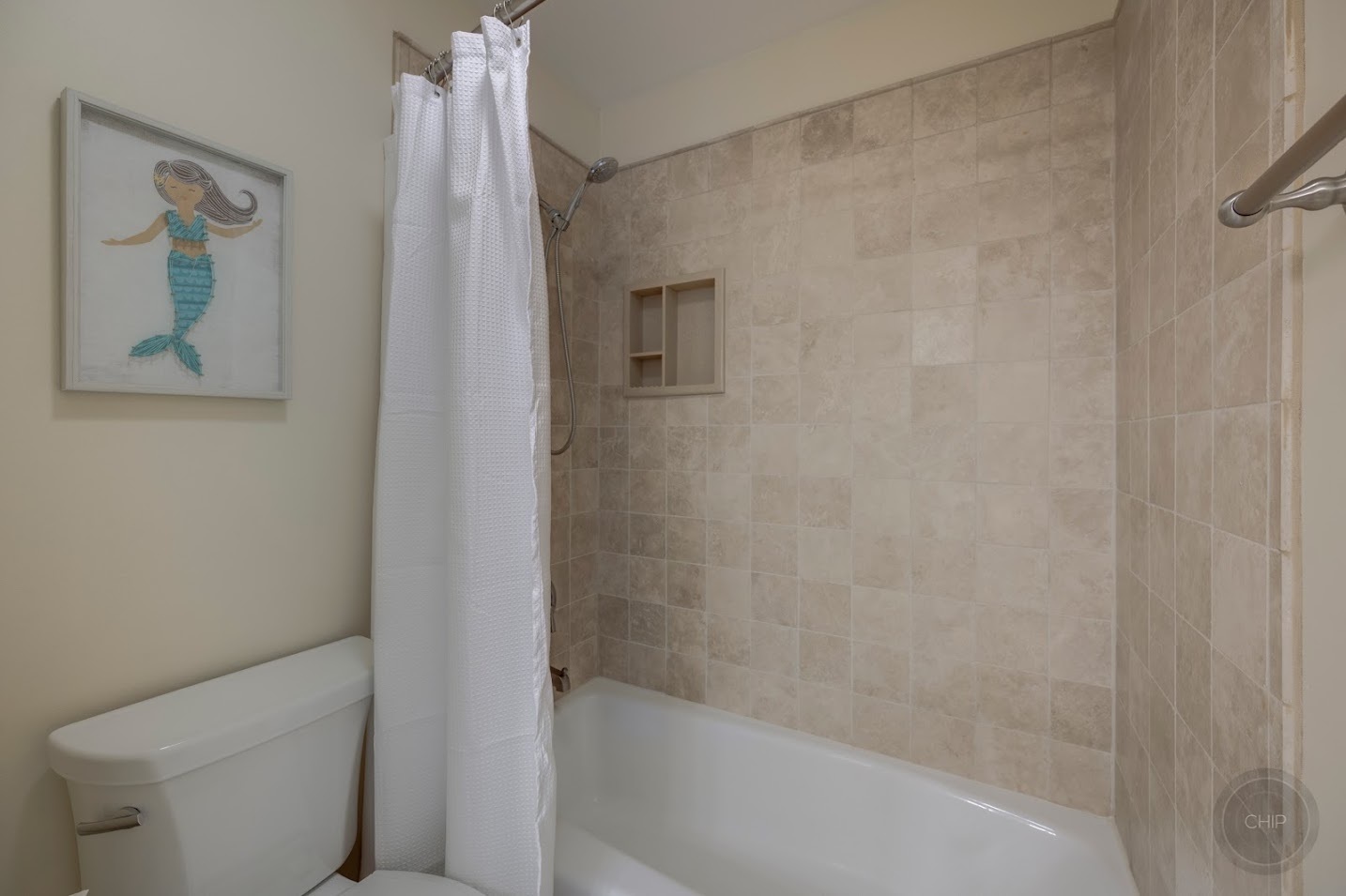 208 Crooked Tree Court Naperville, IL 60565 - Photo 51 of 97 a bathroom with a shower and a toilet