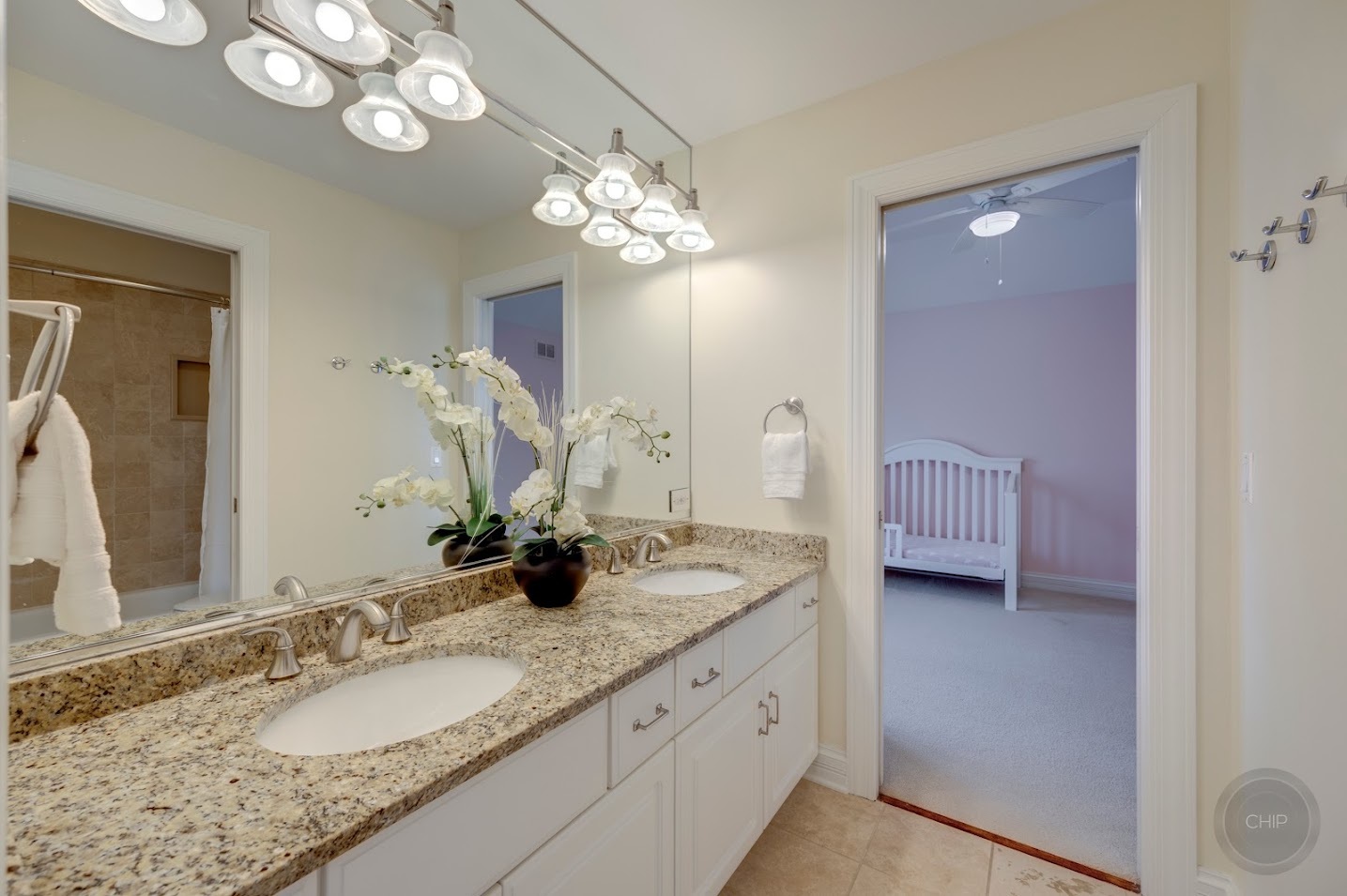 208 Crooked Tree Court Naperville, IL 60565 - Photo 52 of 97