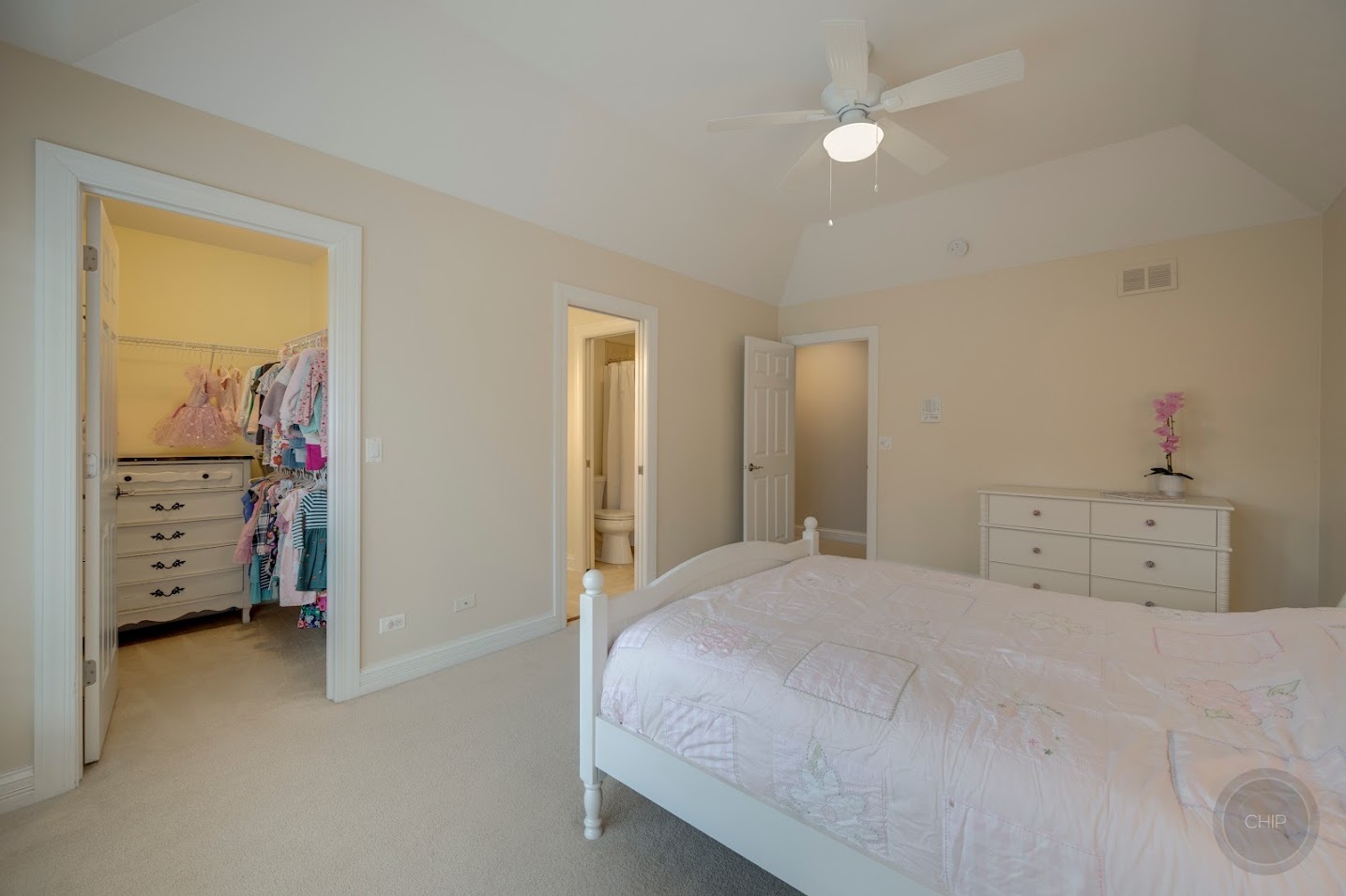 208 Crooked Tree Court Naperville, IL 60565 - Photo 53 of 97