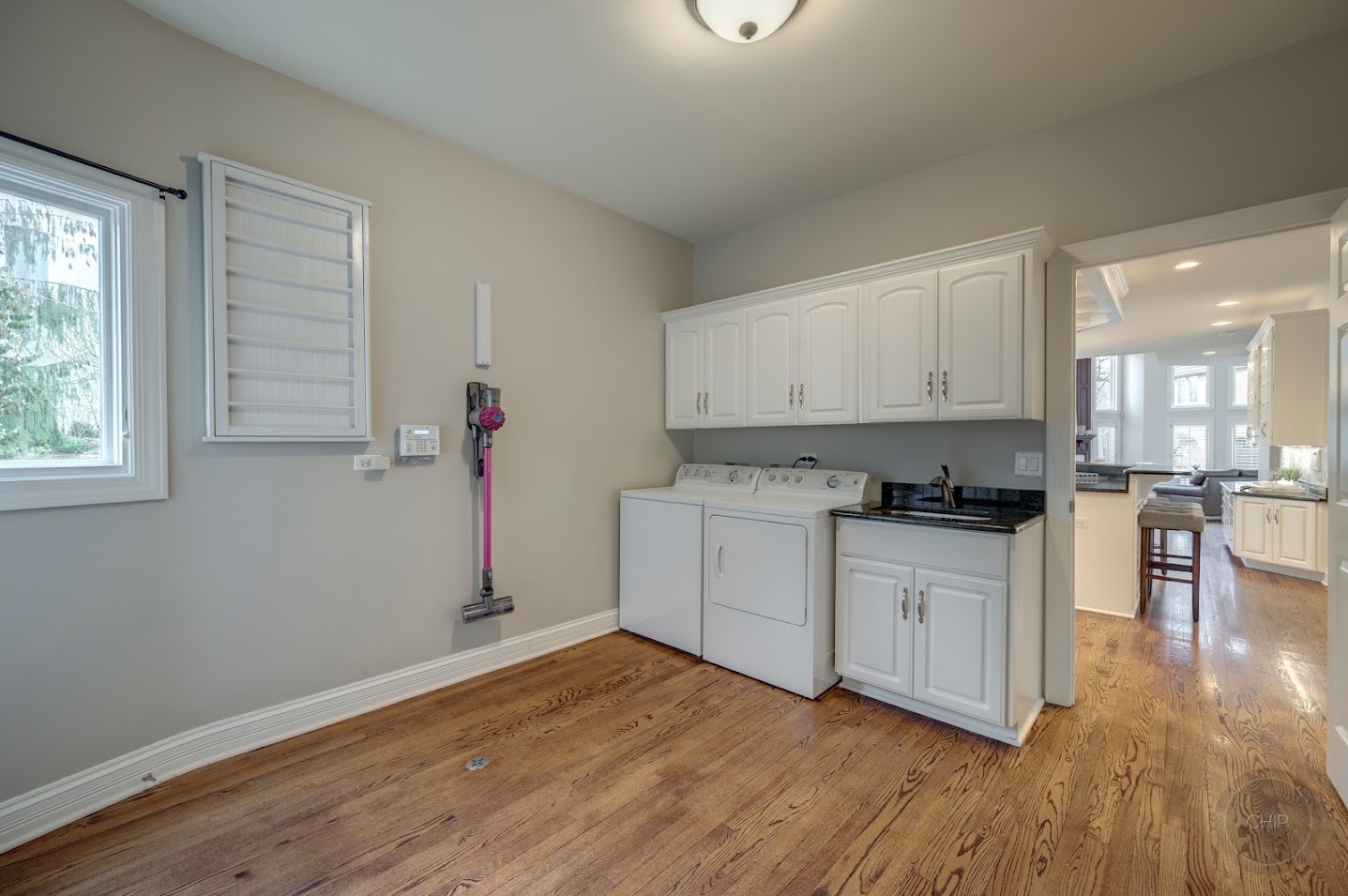 208 Crooked Tree Court Naperville, IL 60565 - Photo 56 of 97