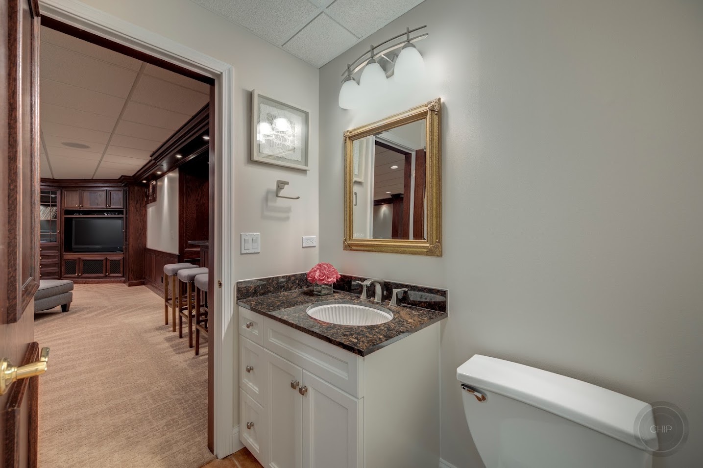 208 Crooked Tree Court Naperville, IL 60565 - Photo 73 of 97 a bathroom with a sink a toilet and a mirror