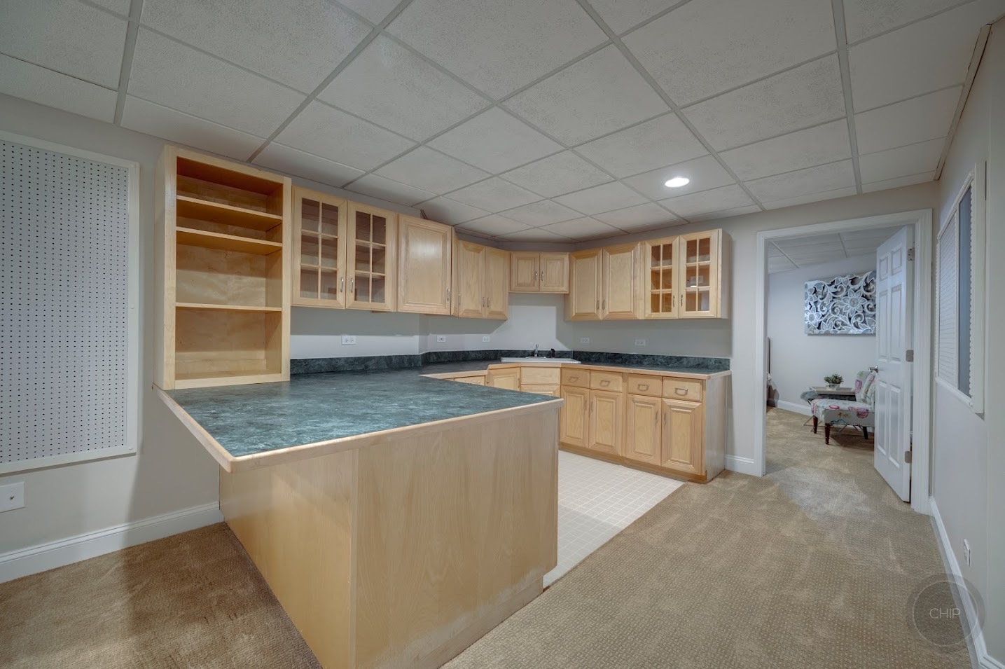 208 Crooked Tree Court Naperville, IL 60565 - Photo 74 of 97