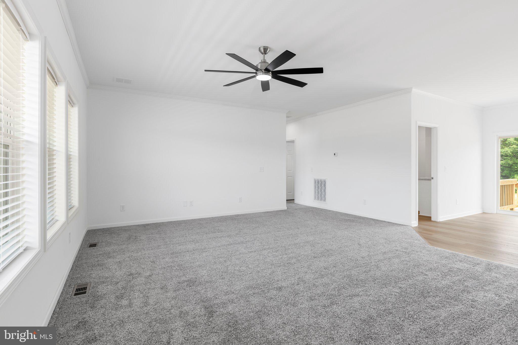 931 Levi Road Green Bay, VA 23942 - Photo 4 of 48