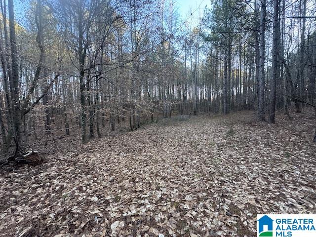 170 Valley Grove Road, Unit 45 AC Cragford, AL 36255 - Photo 12 of 19