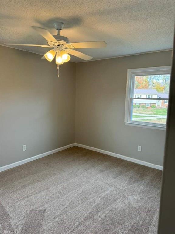 160 Merrigold Road Reidsville, NC 27320 - Photo 10 of 15 Gallery Image 10