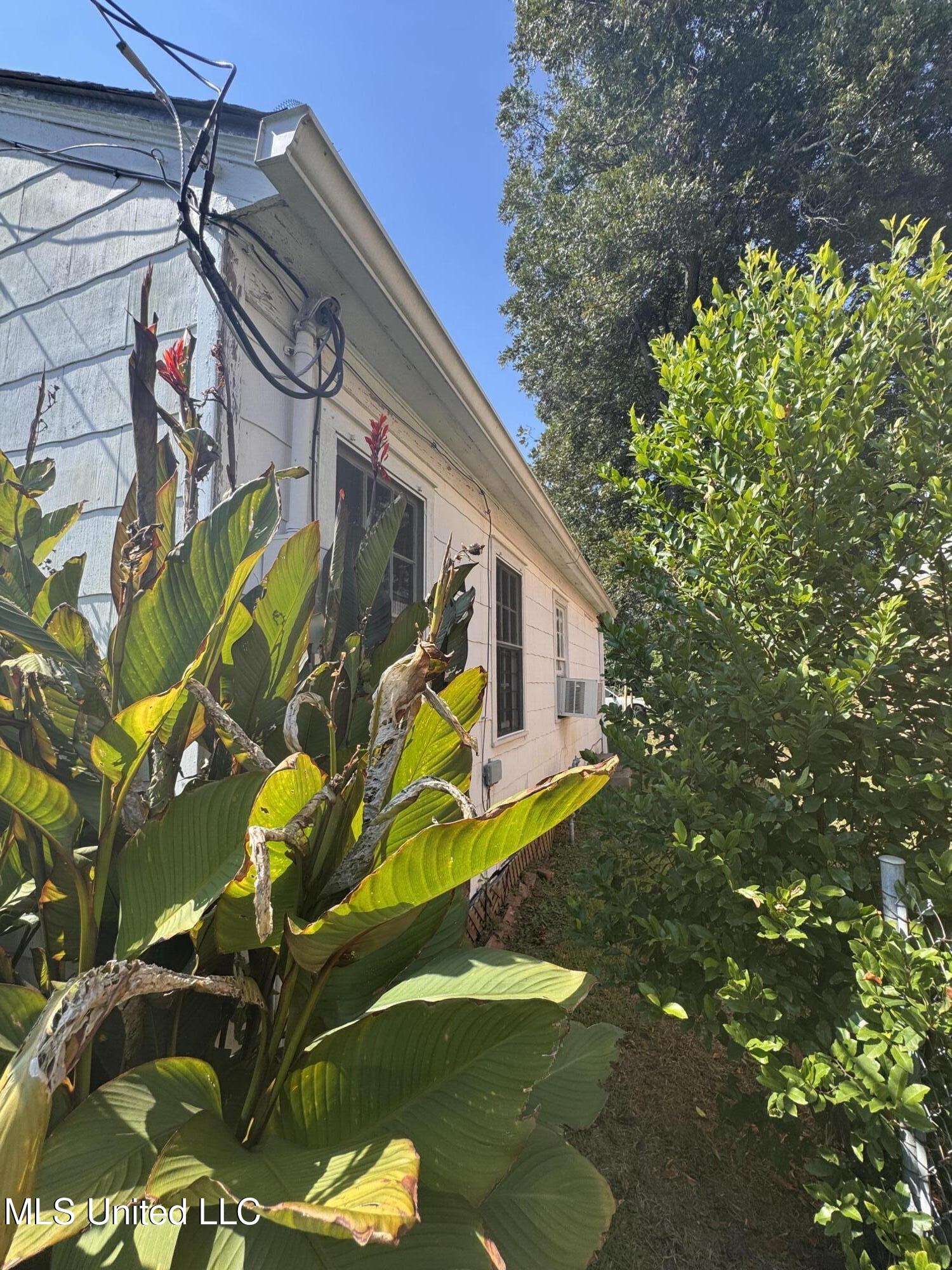 204 Chickasaw Street Natchez, MS 39120 - Photo 5 of 15 IMG_5653