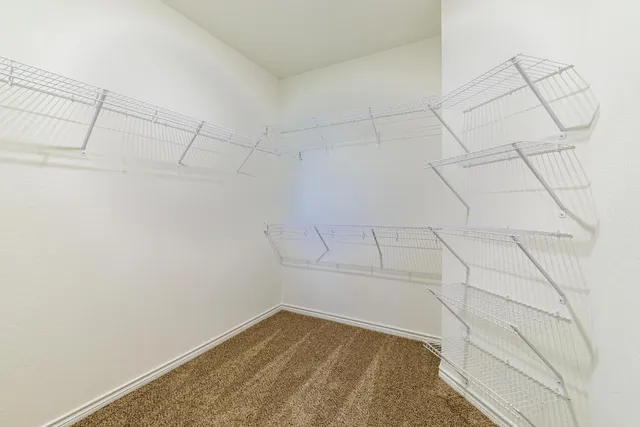 a view of a backyard with a tub