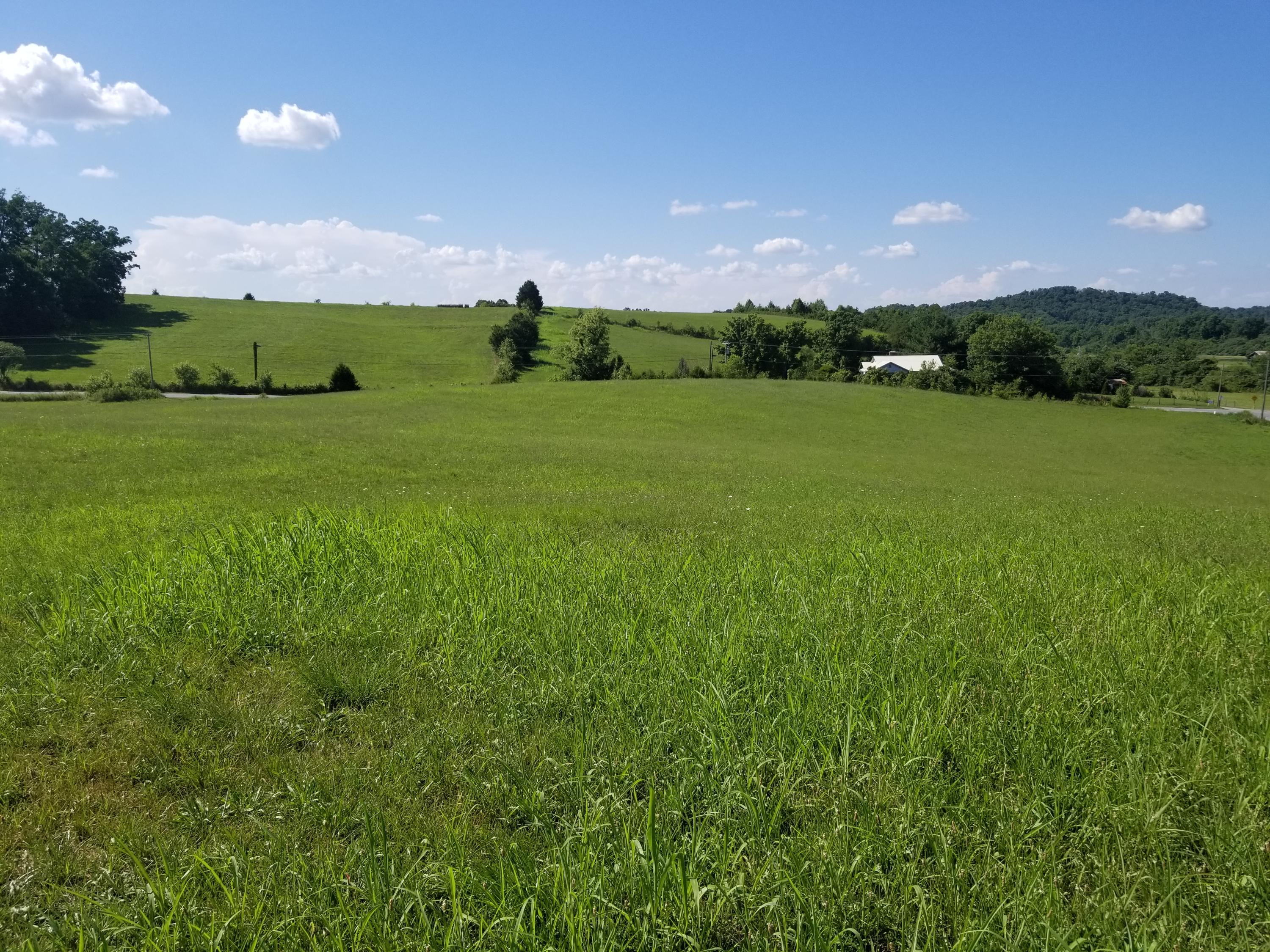 Lot 44 Greystone Road, Unit 44 Greeneville, TN 37743 - Photo 4 of 11 20200709_164214