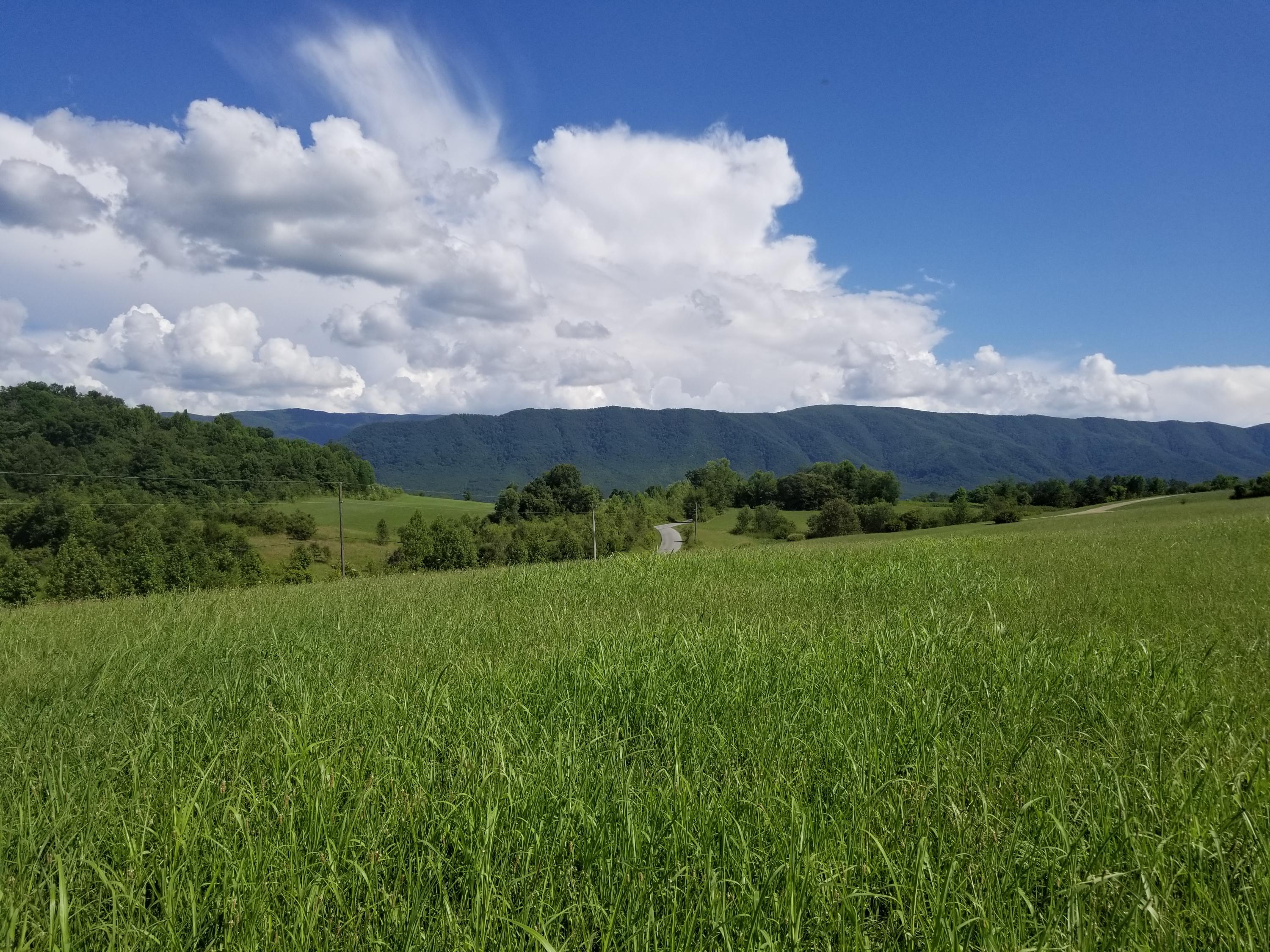 Lot 44 Greystone Road, Unit 44 Greeneville, TN 37743 - Photo 6 of 11 20200709_164140